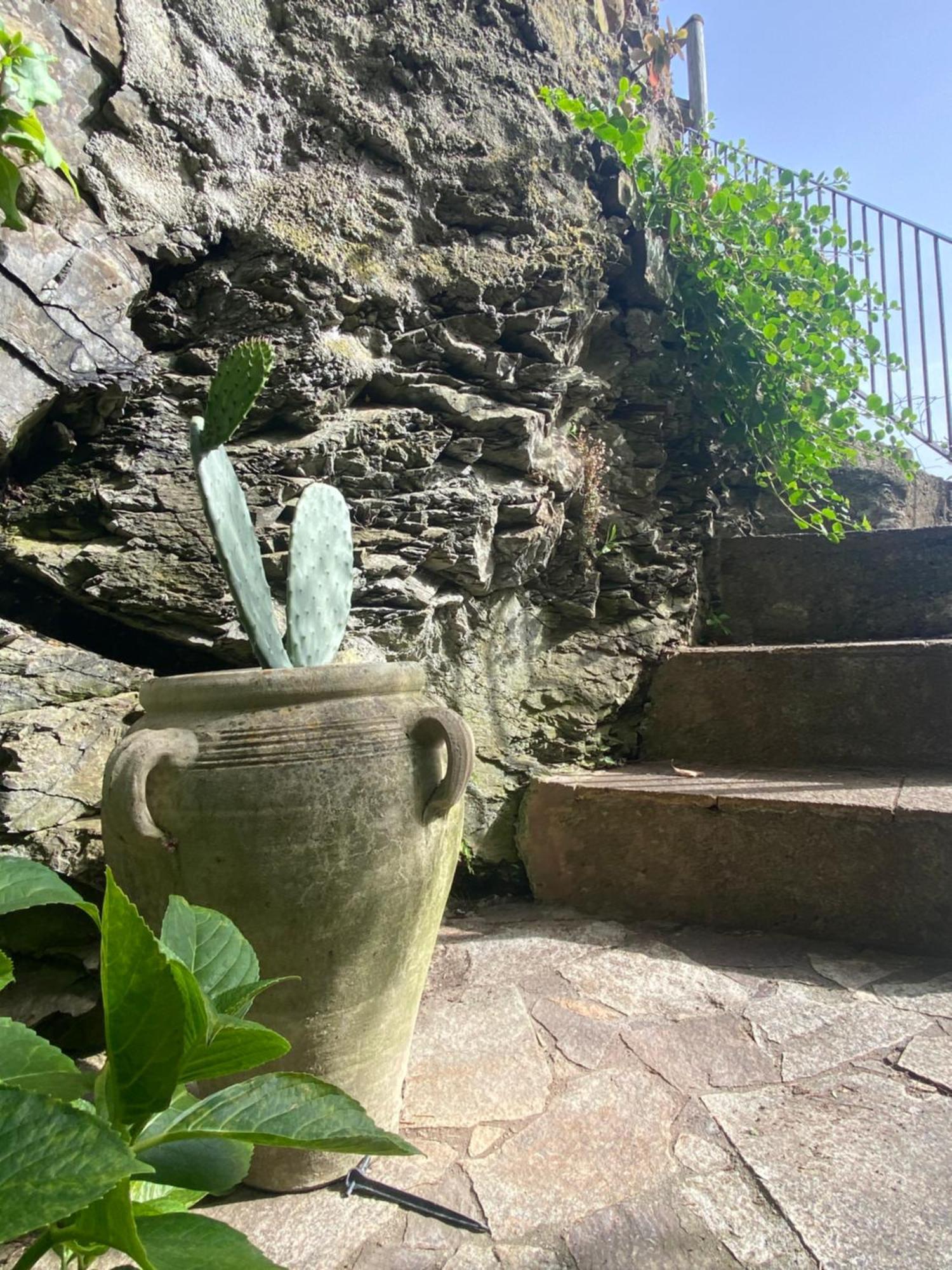 Pensione Sorriso Vernazza Eksteriør billede